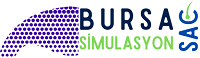 Bursa Saç Simulasyon Gölgelendirme